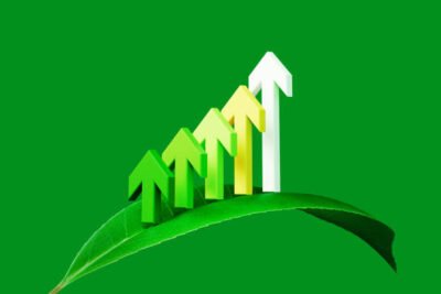 Aprenda estratégias de crescimento sustentável para pequenas empresas e fortaleça seu negócio com práticas escaláveis e eficientes.
