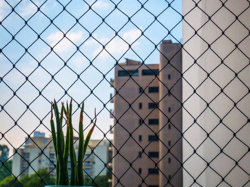 Janelas com vista e proteção: dupla essencial